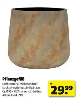 Hagebau Pflanzgefäß Angebot