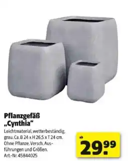 Hagebau Pflanzgefäß Cynthia Angebot