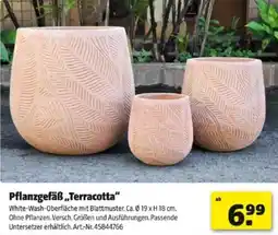 Hagebau Pflanzgefäß terracotta Angebot