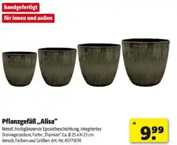 Hagebau Pflanzgefäß Alisa Angebot