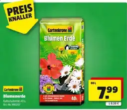 Hagebau Blumenerde Angebot