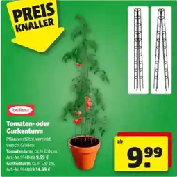 Hagebau Tomaten- oder gurkenturm Angebot