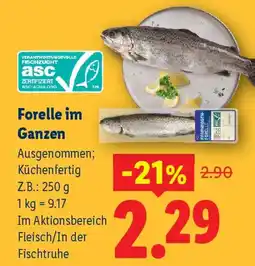 Lidl Forelle im ganzen Angebot