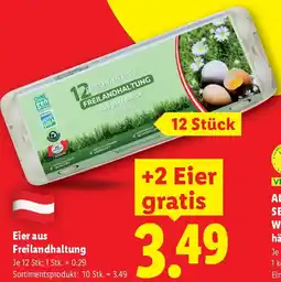 Lidl Eier aus Freilandhaltung Angebot