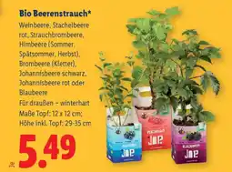 Lidl Bio beerenstrauch Angebot