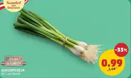 PENNY Jungzwiebeln Angebot