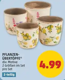 PENNY Pflanzen- übertöpfe Angebot