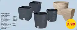 PENNY Pflanzgefäss farbe: anthrazit Angebot