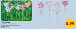 PENNY Gartenstecker Angebot
