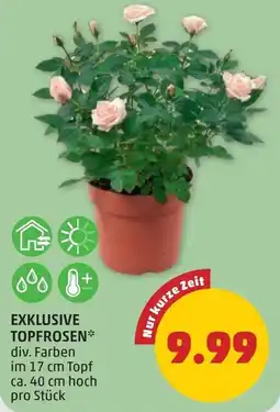 PENNY Exklusive topfrosen Angebot