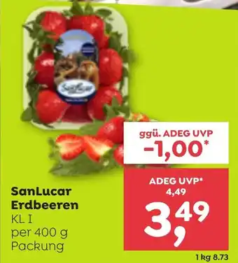 ADEG Sanlucar erdbeeren Angebot