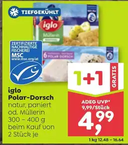 ADEG Iglo polar-dorsch Angebot