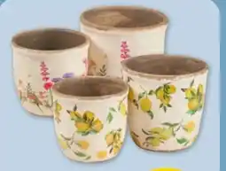 PENNY Pflanzenübertopf Angebot