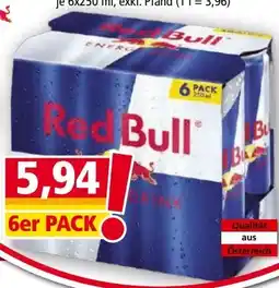 Norma Red Bull Energy Drink Angebot