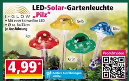 Norma LED-Solar-Gartenleuchte „Pilz“ Angebot