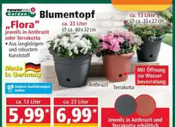 Norma Blumentopf Angebot