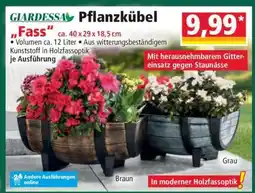 Norma Pflanzkübel „Fass“ Angebot