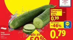 Lidl Gurke aus Österreich Angebot