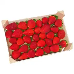 Lidl Erdbeeren Lidl APP Preis Angebot