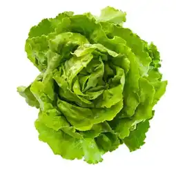 MPreis Kopfsalat MPREIS Angebot