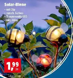 Thomas Philipps Solar-Blene Angebot