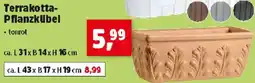 Thomas Philipps Terrakotta- Pflanzkübel Angebot