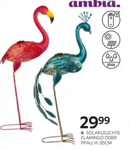 XXXLutz Solarleuchte flamingo oder pfau Angebot