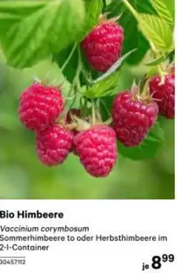 BayWa Bio Himbeere 30457112 Angebot