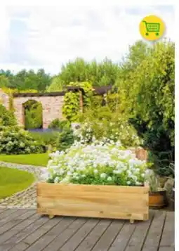 BayWa Pflanzkasten Angebot