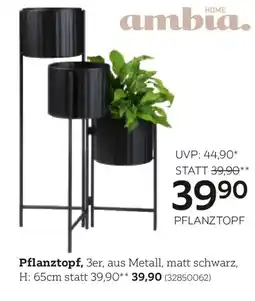 XXXLutz PFLANZTOPF Angebot