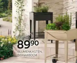 XXXLutz Blumenkasten Angebot