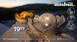 XXXLutz Led-solarleuchte Angebot