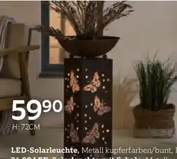 XXXLutz Led-solarleuchte Angebot