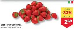MPreis Erdbeeren Candonga Angebot