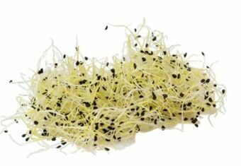 Transgourmet Knoblauch Angebot