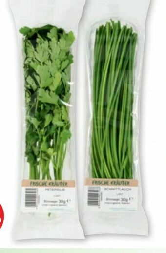 PENNY Kräuter Angebot
