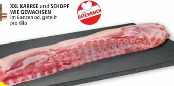 PENNY Karree Angebot