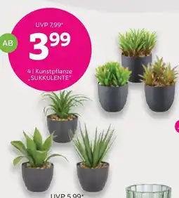 Mömax Kunstpflanze sukkulente Angebot