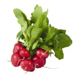 Billa ja!natürlich Bio-Radieschen Angebot