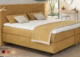 XXXLutz Dieter Knoll Boxspringbett Angebot