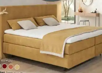XXXLutz Dieter Knoll Boxspringbett Angebot