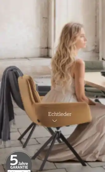 XXXLutz Dieter Knoll Armlehnstuhl Angebot