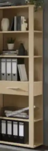 XXXLutz Stylife Aktenregal Angebot