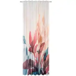 XXXLutz Fertigvorhang 8144002701 XXXLutz Angebot