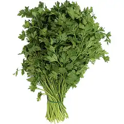 Metro Petersilie glatt, Preisangabe ohne MwSt. (Preis inkl. MwSt. 4,39 €), METRO Angebot