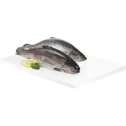 Metro Lachsforelle, Preisangabe ohne MwSt. (Preis inkl. MwSt. 17,59 €), METRO Angebot