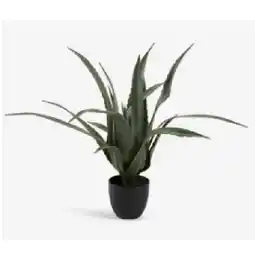 JYSK Kunstpflanze CELIUS 4911011 JYSK Angebot