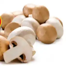 Hofer Champignons weiß oder braun HOFER Angebot