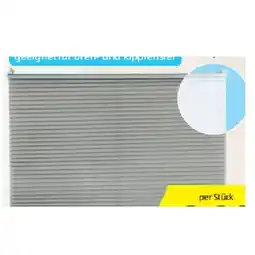 Hofer Plissee Fenster/Tür div. Sorten HOFER Angebot