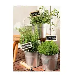 Hofer Italienische Kräuter versch. Sorten HOFER Angebot